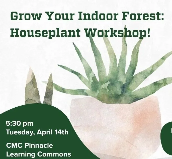 Build Your Indoor Forest: A Houseplant Workshop