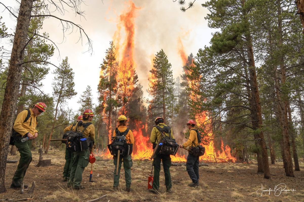 Wildfire Resilience Fair