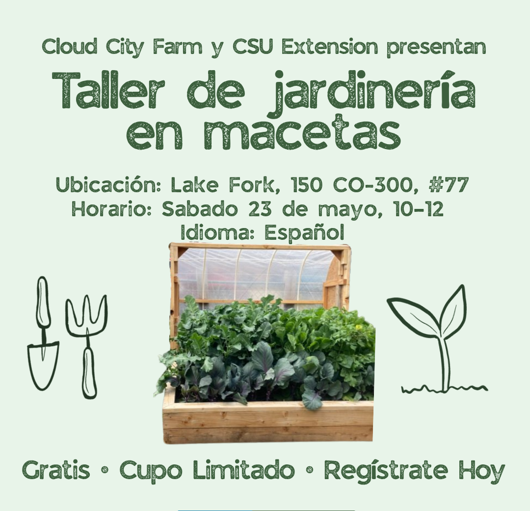 Taller de Jardinería en Macetas