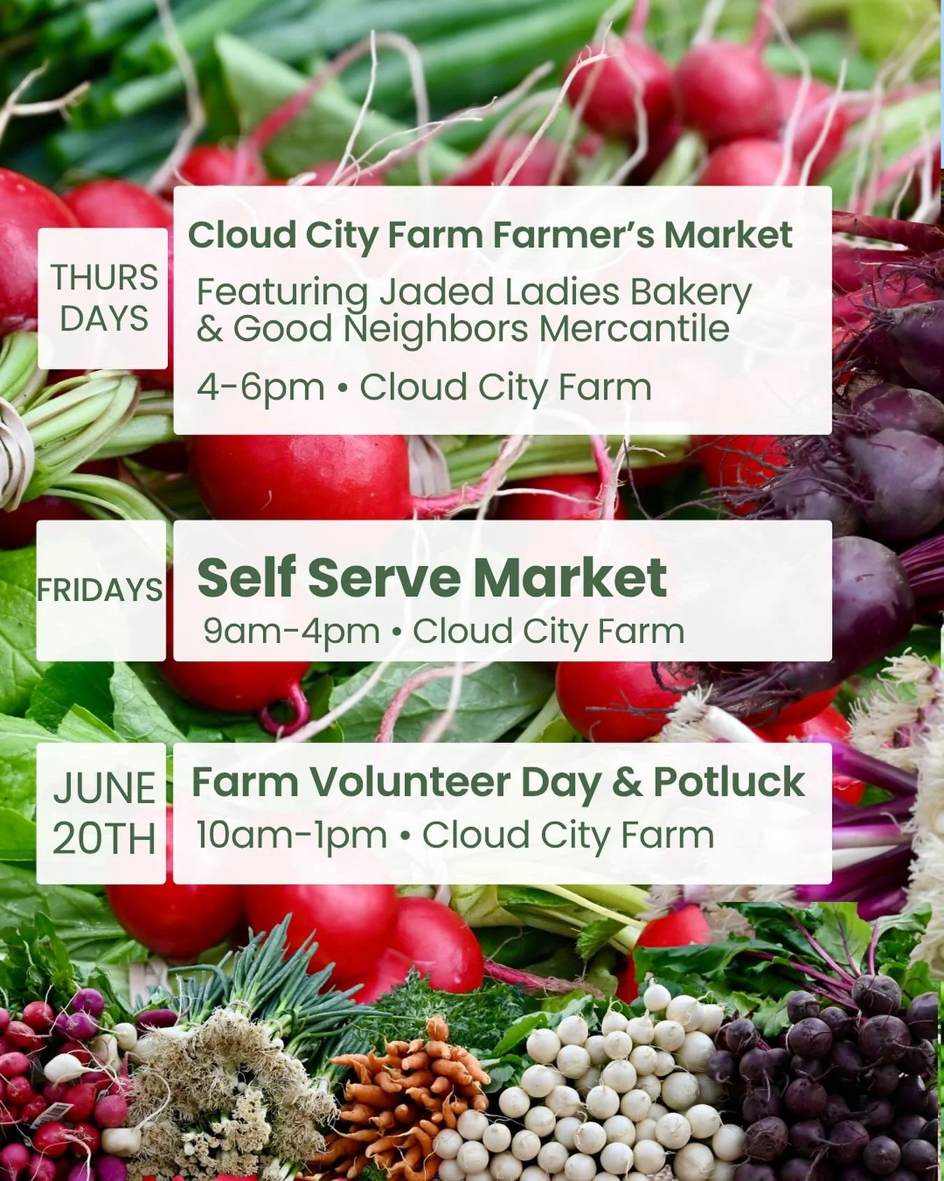 Your weekly reminder that fresh, local food is right here in Leadville. 🥕 Come shop, volunteer, and break bread with your neighbors at Cloud City Farm.