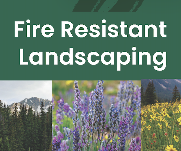 Fire Resistant Landscaping