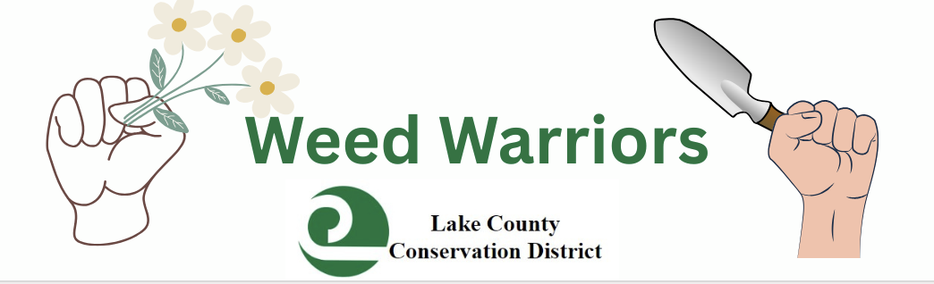 Weed Warriors with Lake County Conservation District