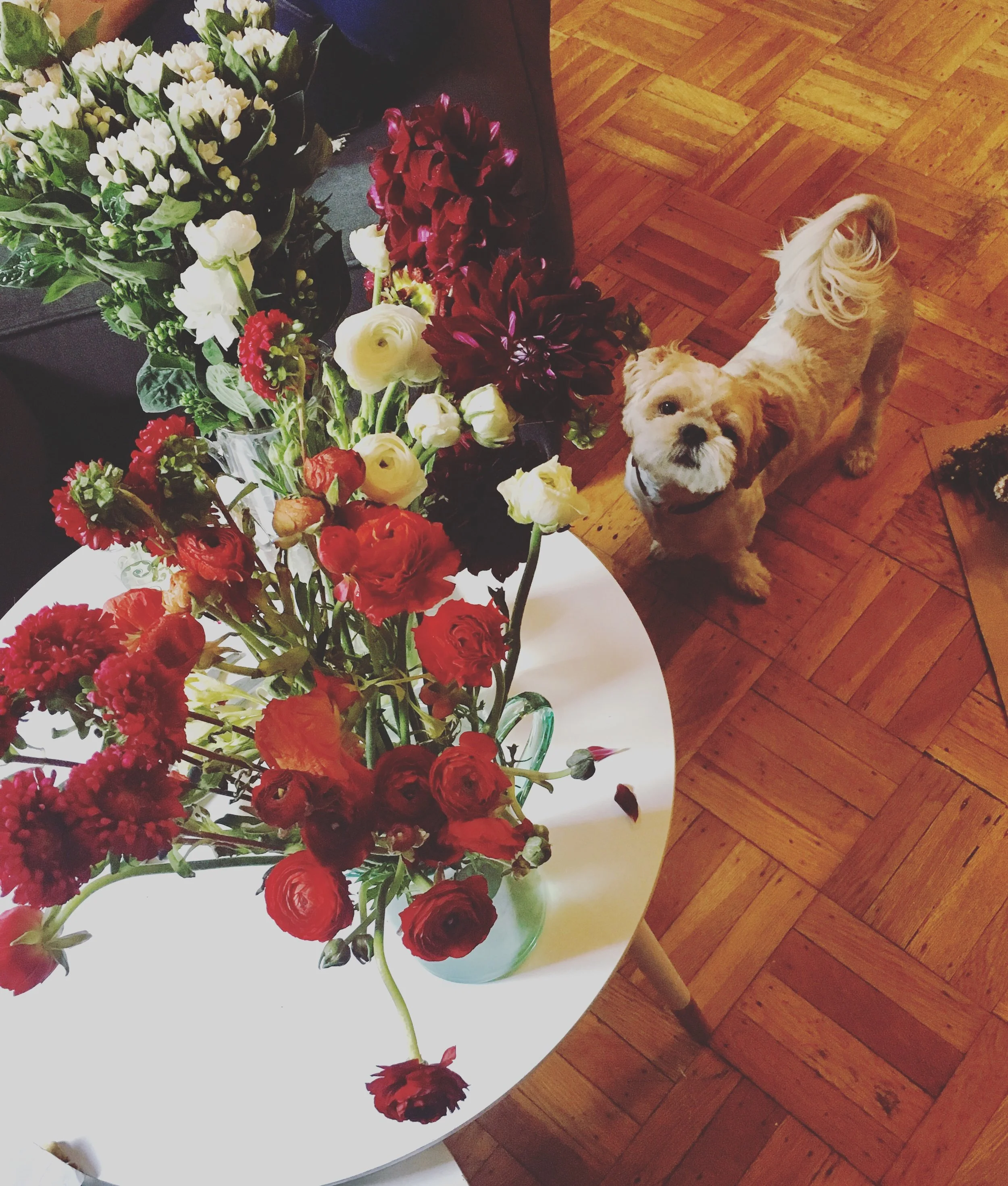 Perri_Rich_WedPics (53).JPG