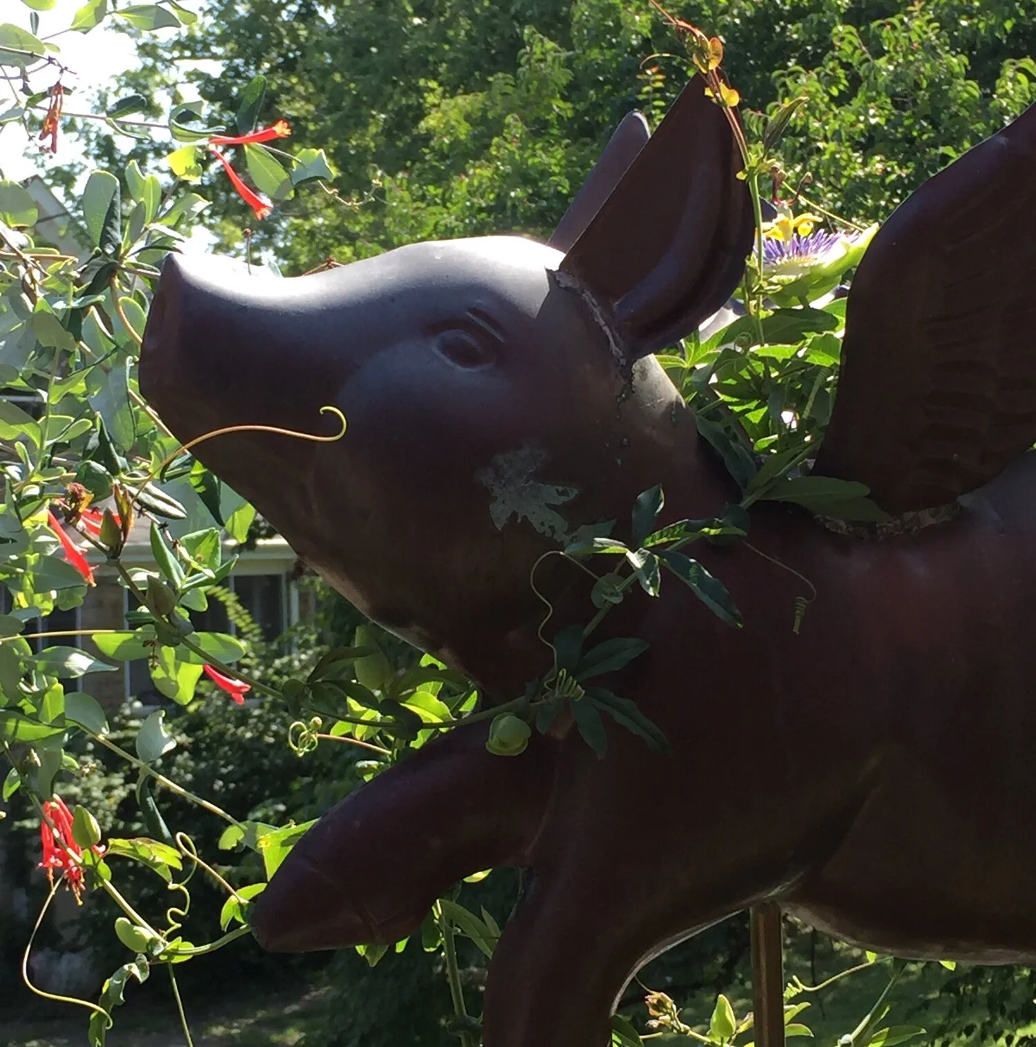 Smile, relax... enjoy your event!