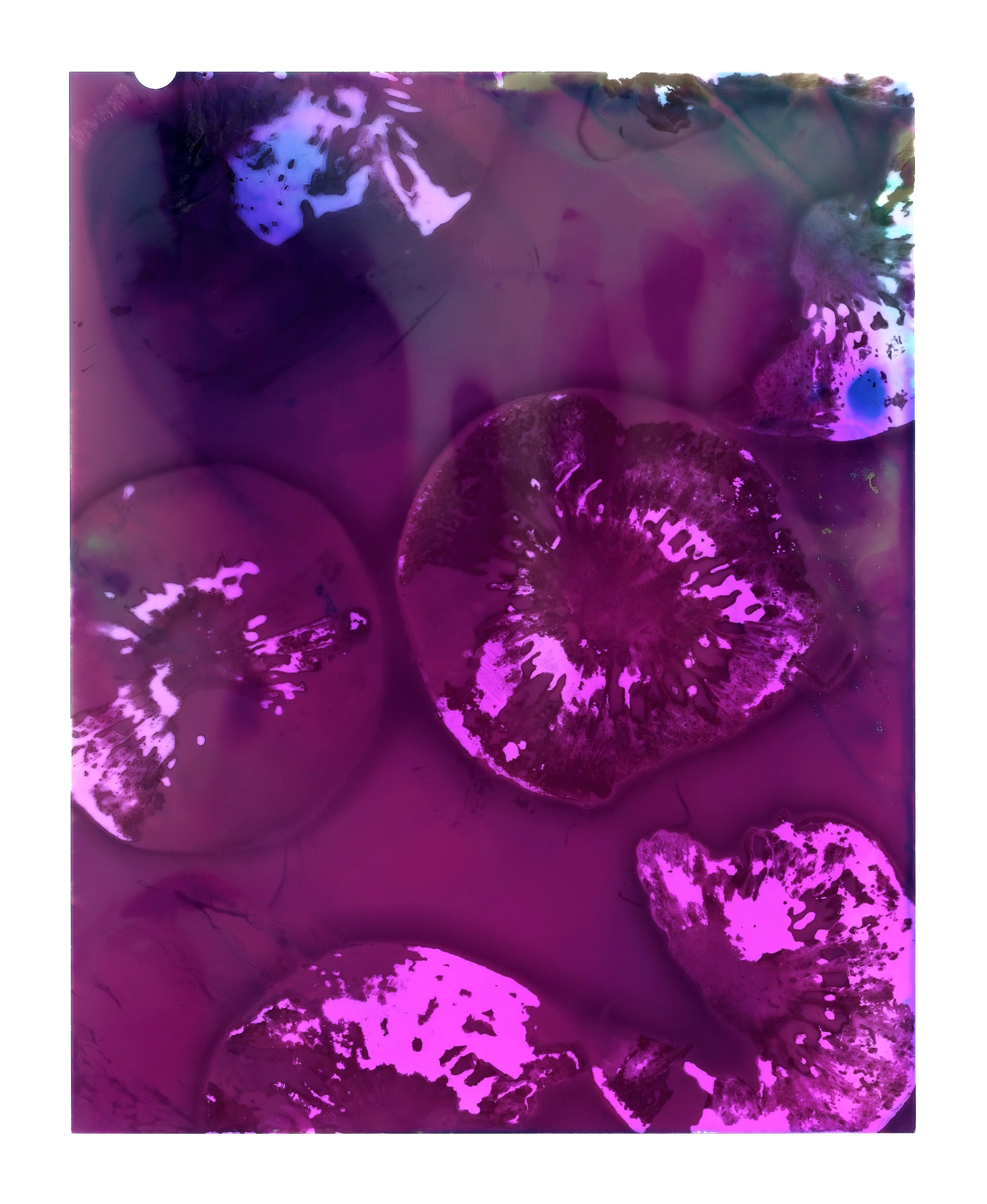 Lumen 2.jpg