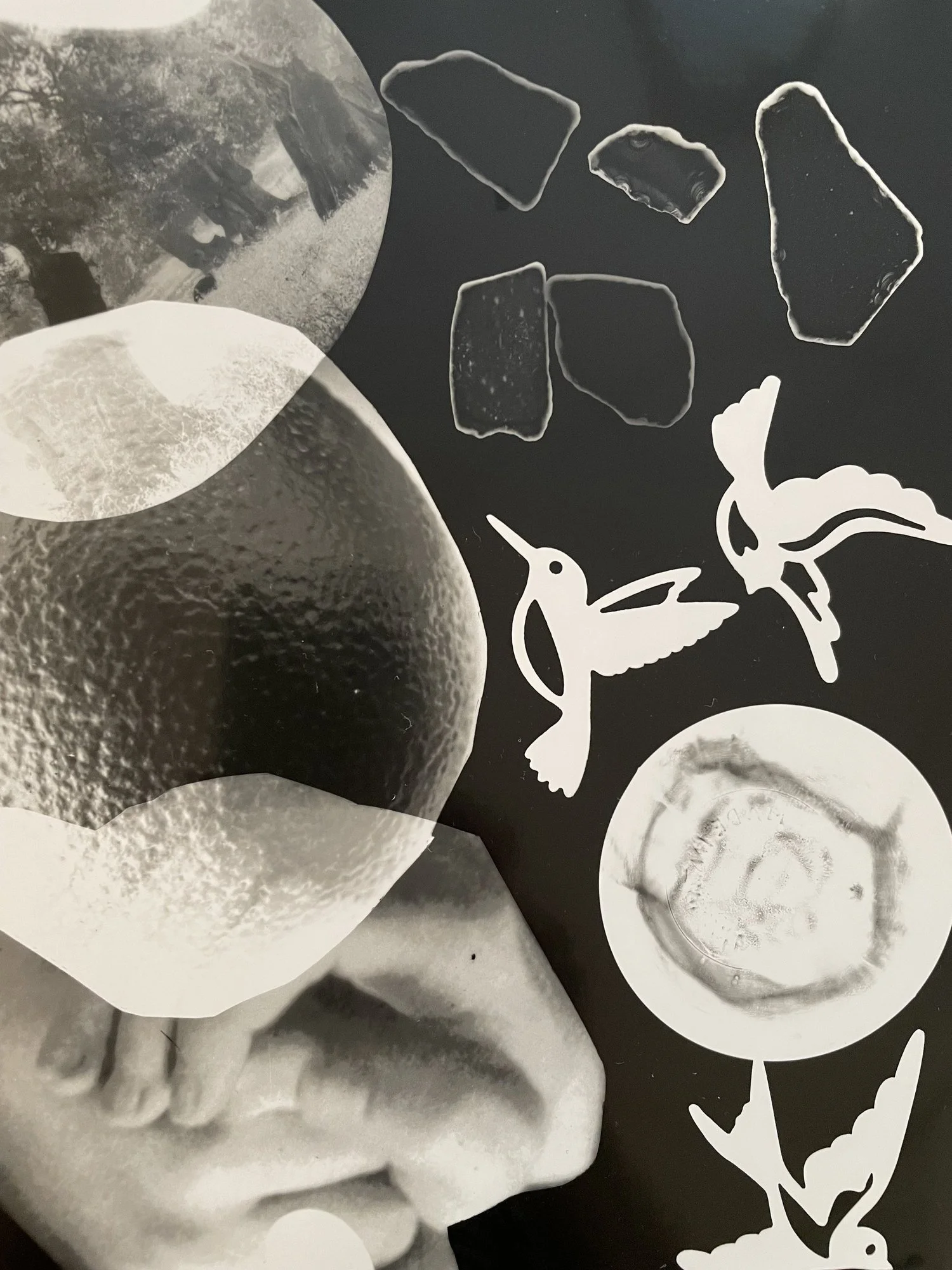 Thanksgiving Photogram Workshop