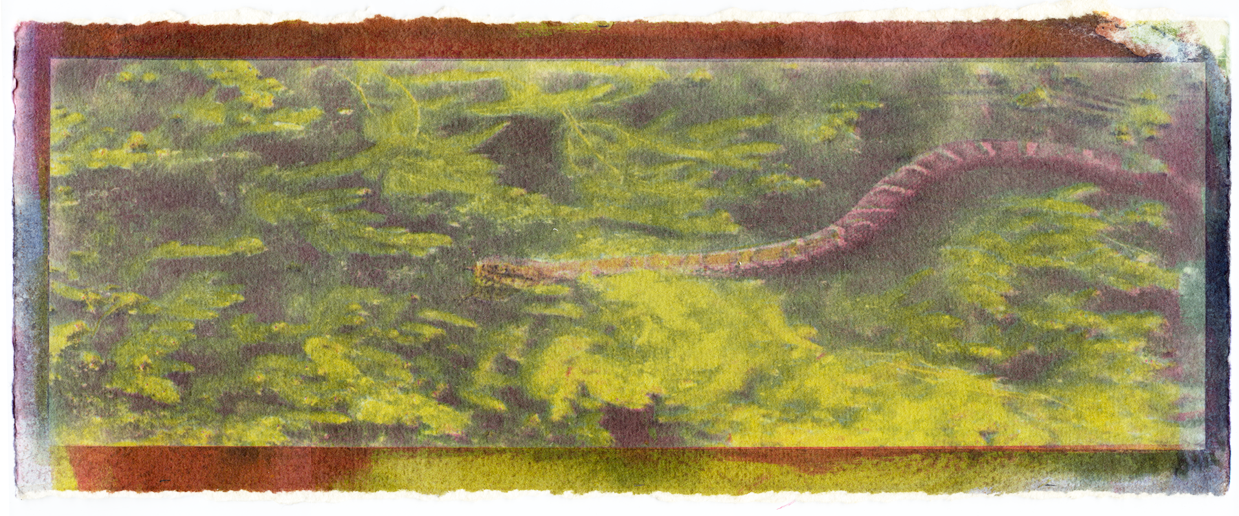 Sarah_Hollcraft_A Piece Of My Love #1_2026.png