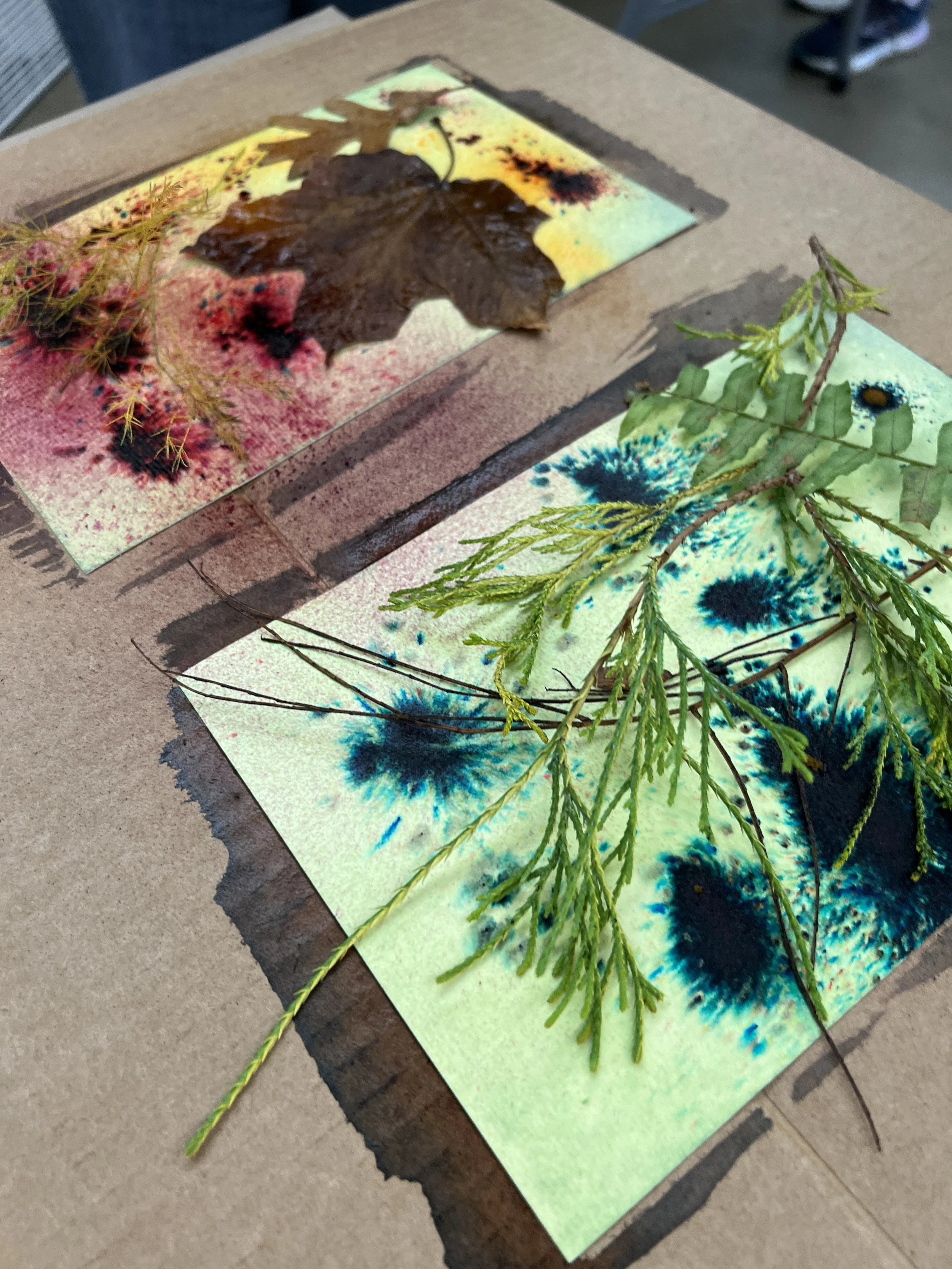 Fabric &amp; Wet Cyanotype Workshop with Erin Patton McFarren