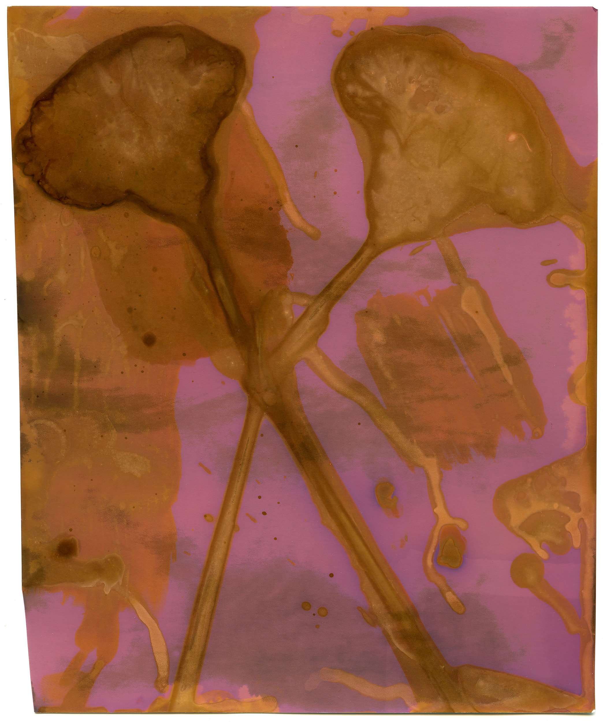 Lumen Warm Tone 2.jpg