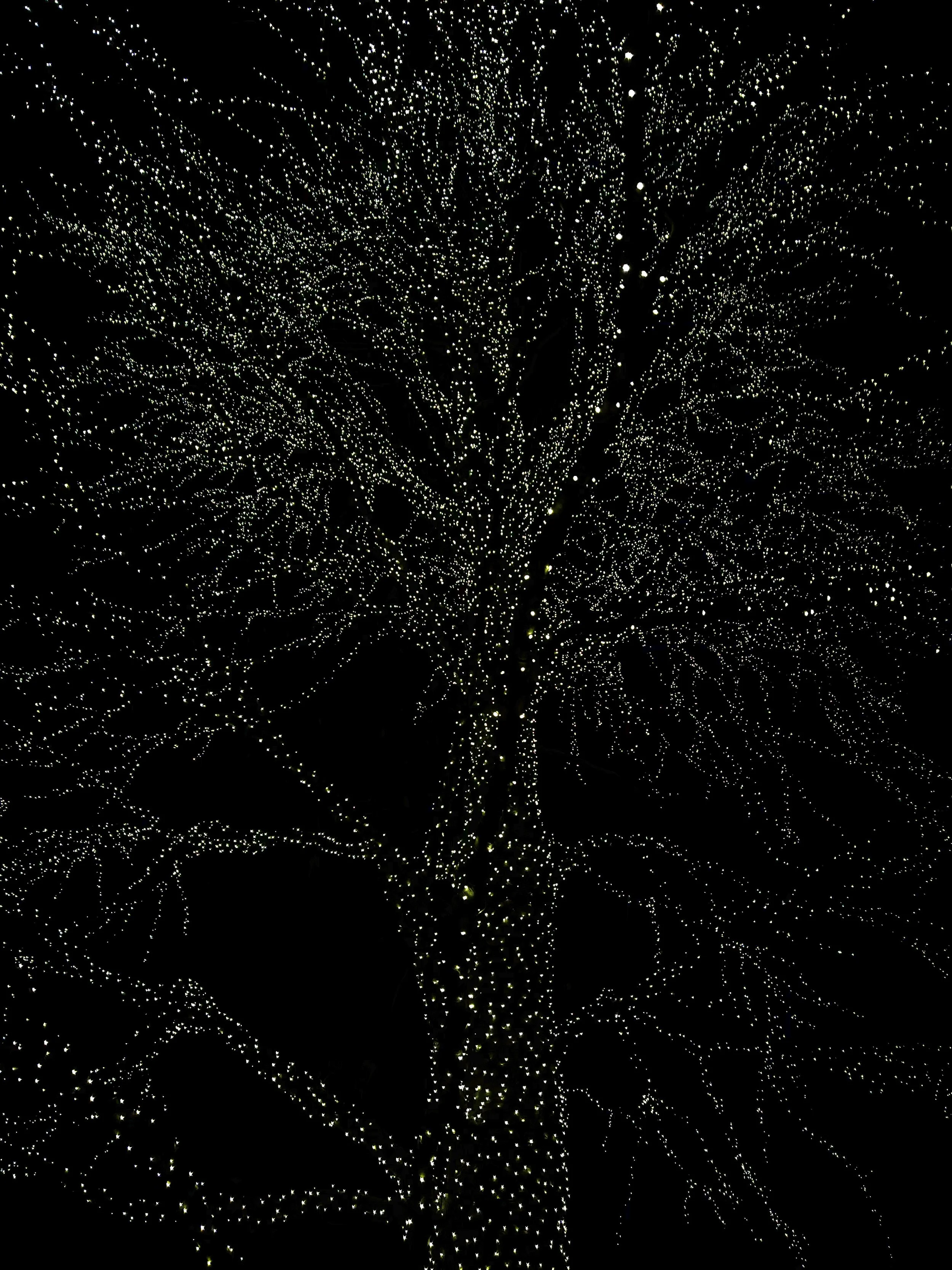 WinterLights.jpg