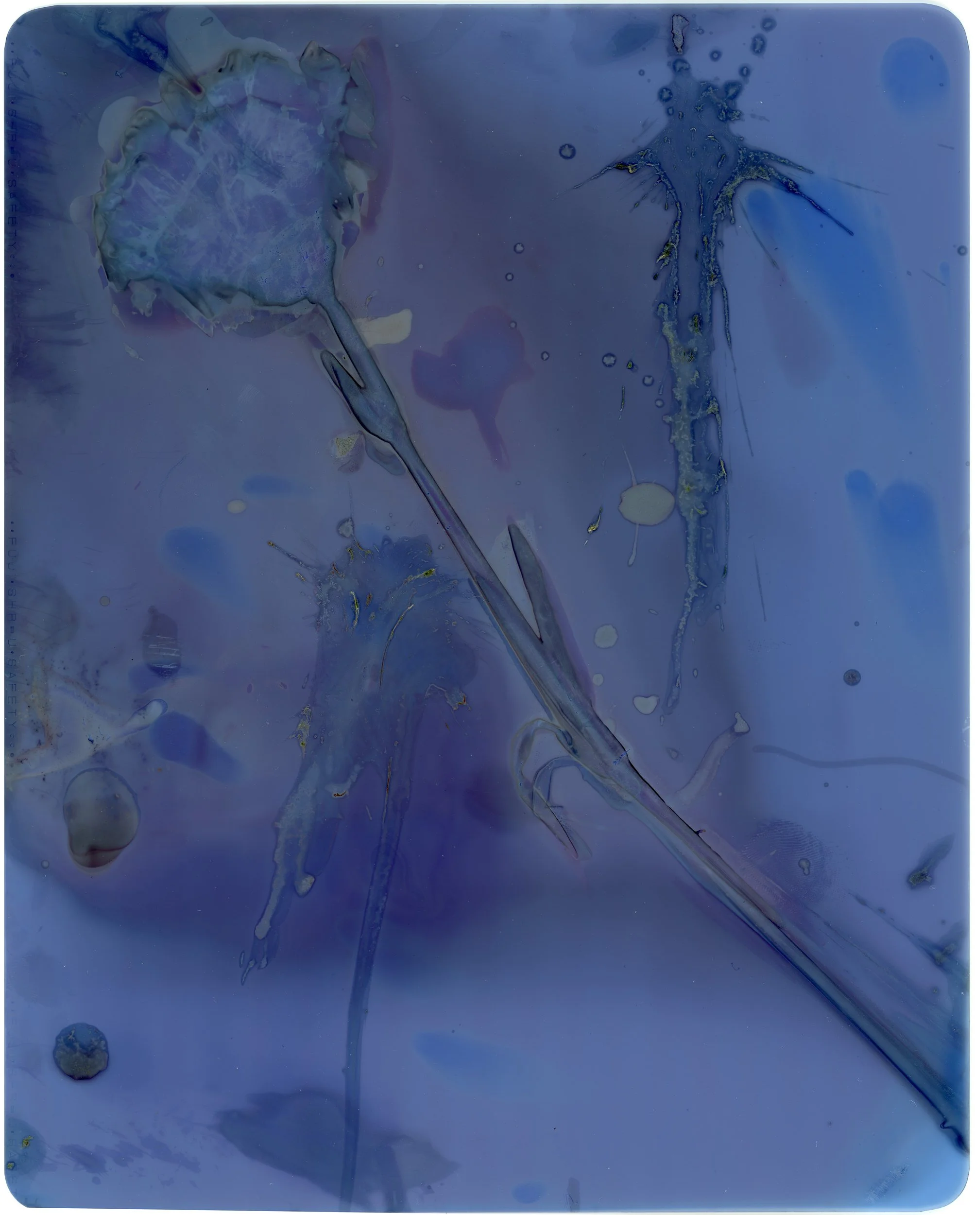 Xray Film Lumen 2.jpg