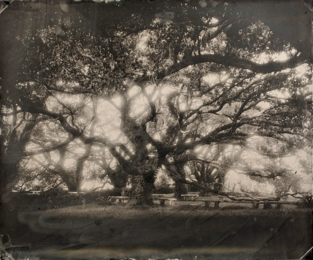 Alternative & Historic Processes — Aurora PhotoCenter