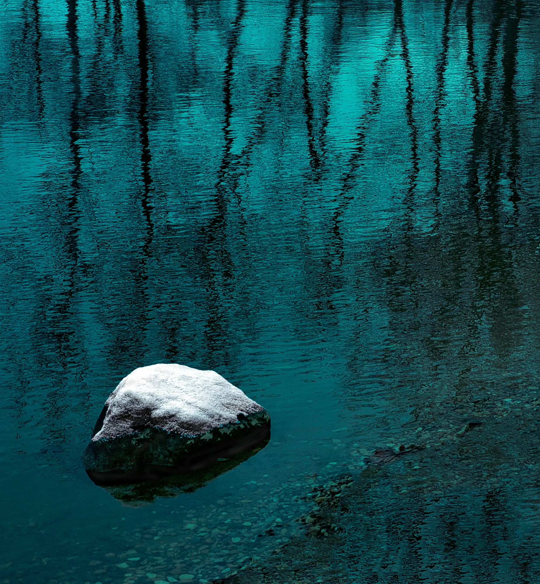 ColdLonelyPromoNot Print.jpg