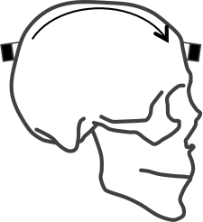 ICPMon.png