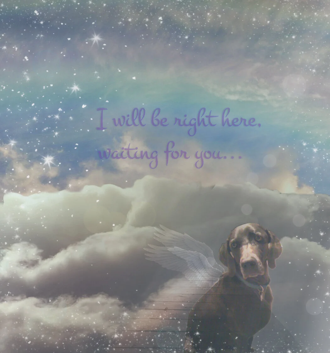 Custom Graphic - Pet Memorial Graphic Design