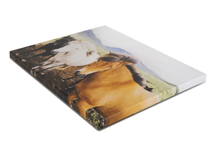 3_tabletop_canvases.jpg