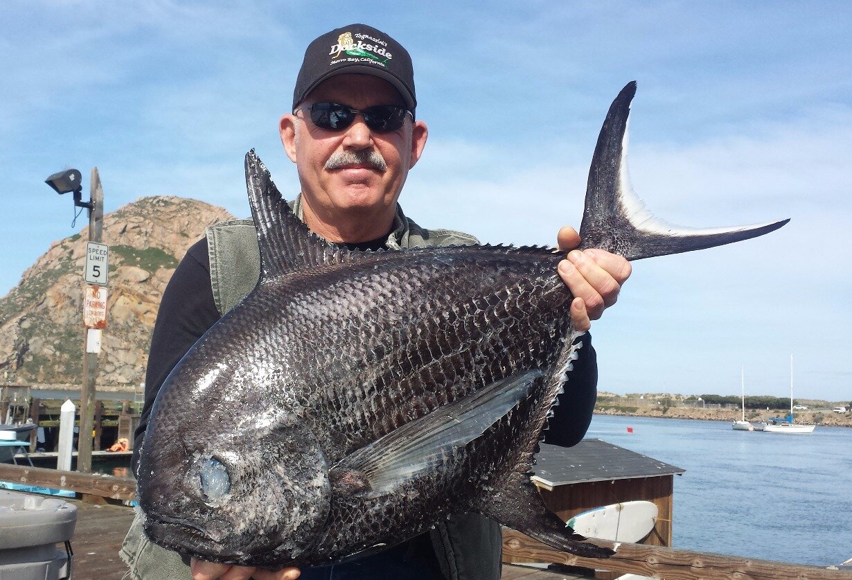 Season III: Captain Mark Tognazzini, fisherman and restaurateur, Morro Bay, California