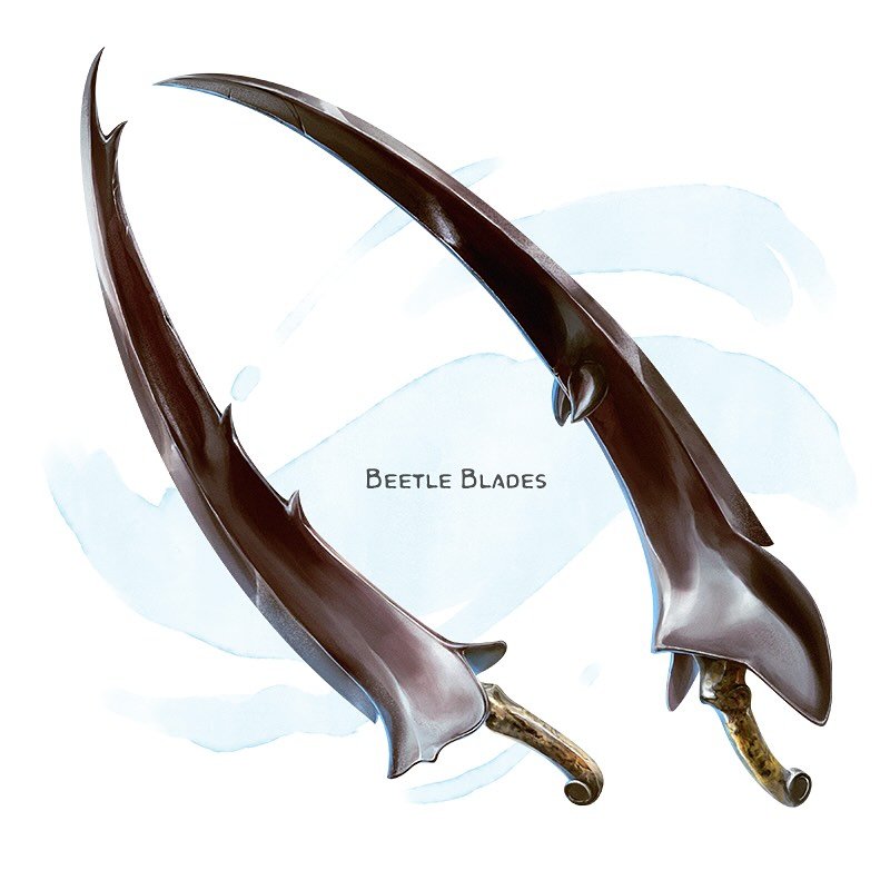 ⚔️ 𝗡𝗲𝘄 𝗶𝘁𝗲𝗺!
Beetle Blades Weapon (scimitar), rare (requires attunement)
___

This pair of swords counts as a single item for the purpose of attuning to them. You gain a +1 bonus to attack and damage rolls made with these magic weapons; this b