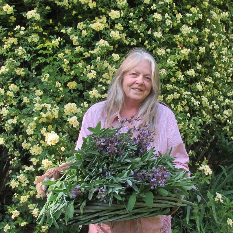 Episode 184: Chronic Swelling And Nerve Pain Eliminated With Cannabis Root And Herbs