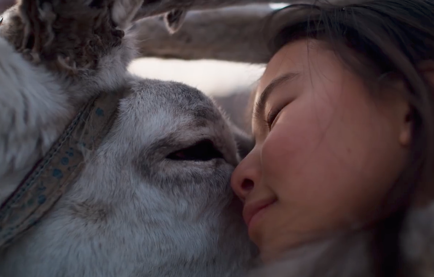 Screen Shot 2020-07-15 at 1.43.48 PM.png