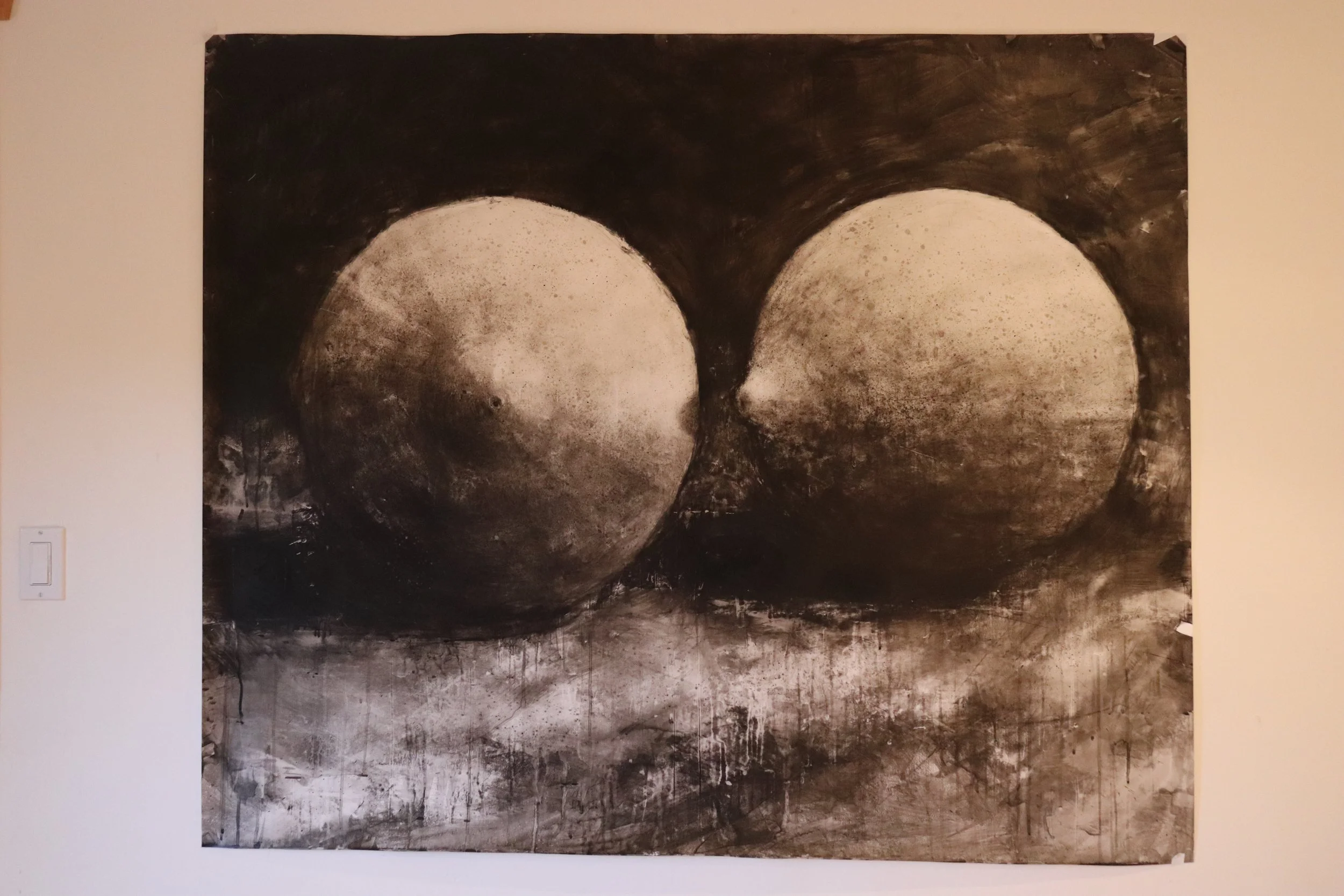 TOMMY'S LEMONS 50"X60"  2024