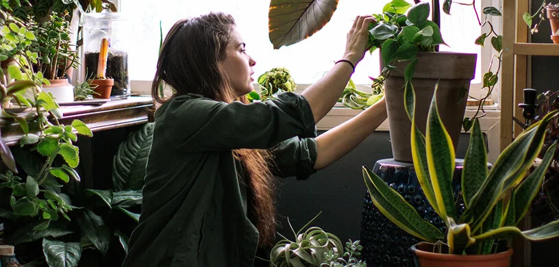Replanting Roots, Taking Back Control