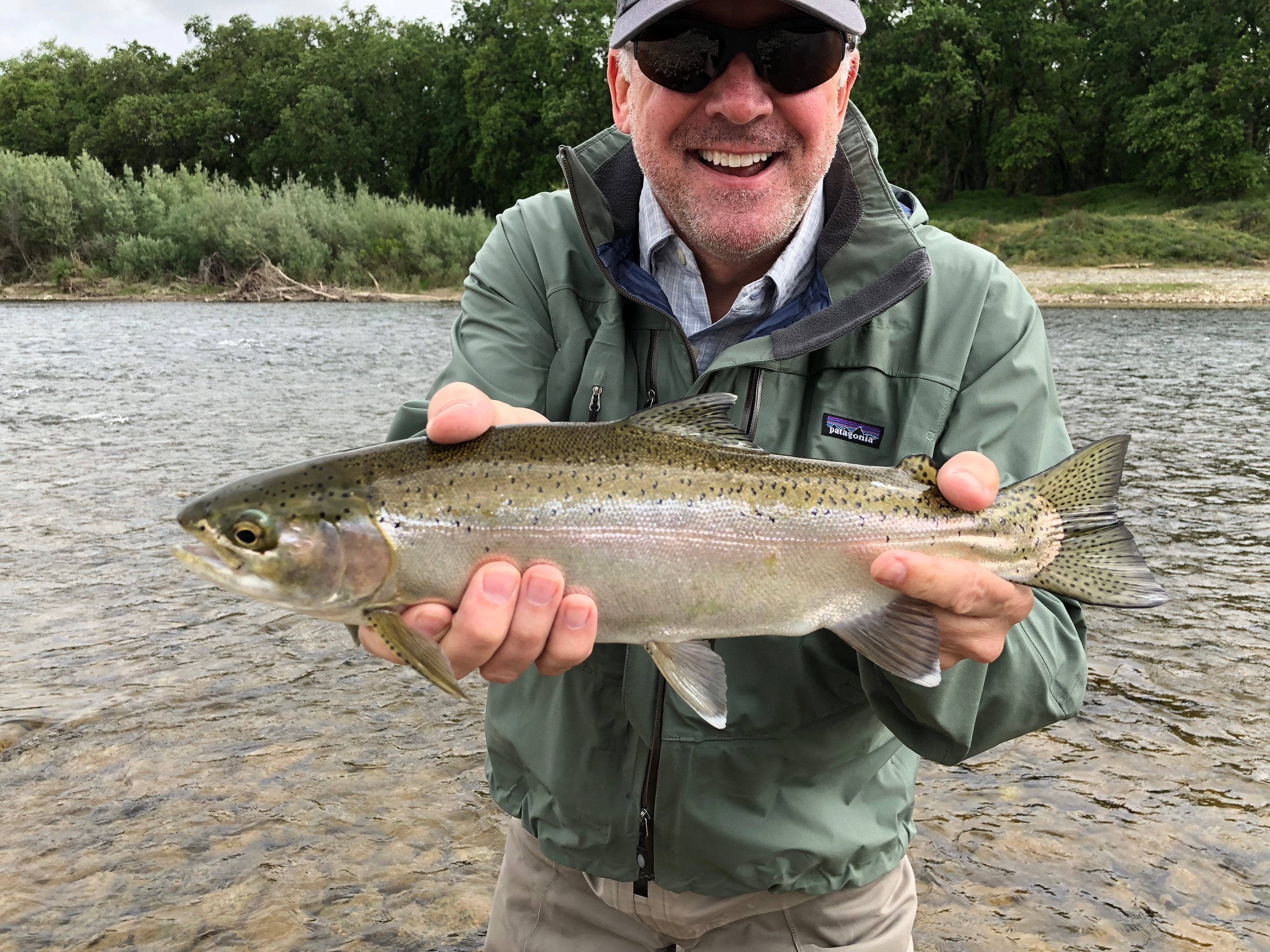 Spring run fish are not always big but they hit swung flies and jump and run