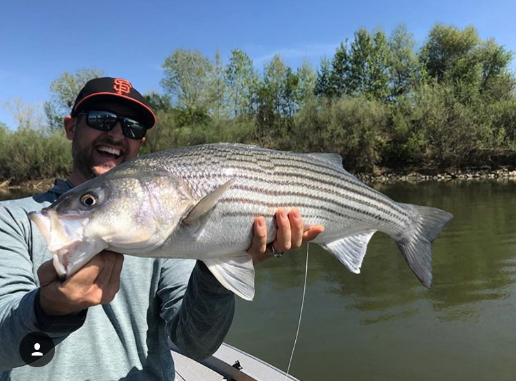 Mirgratory Striper Time is NOW