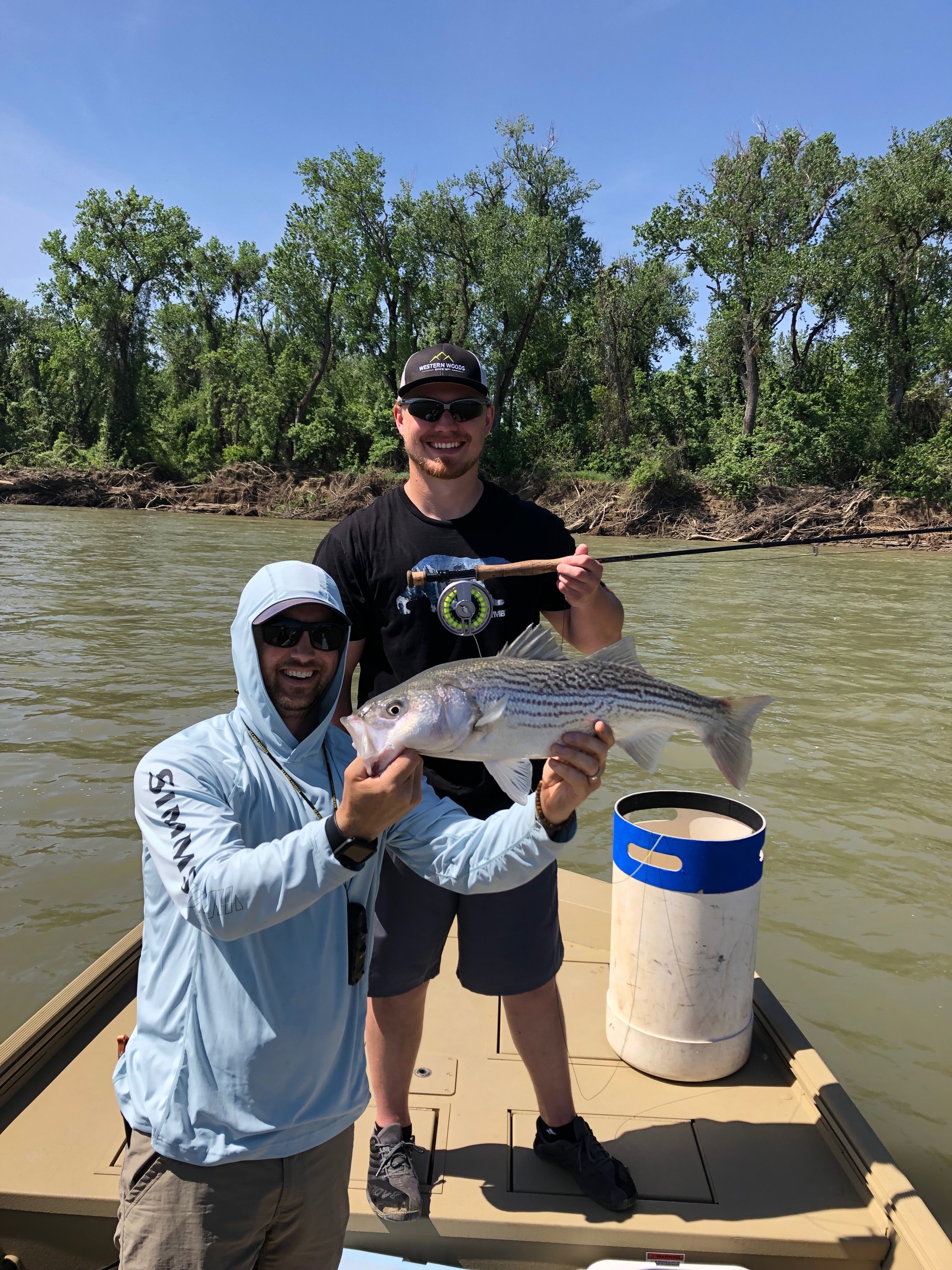 Not bad for your first fish on a fly rod.