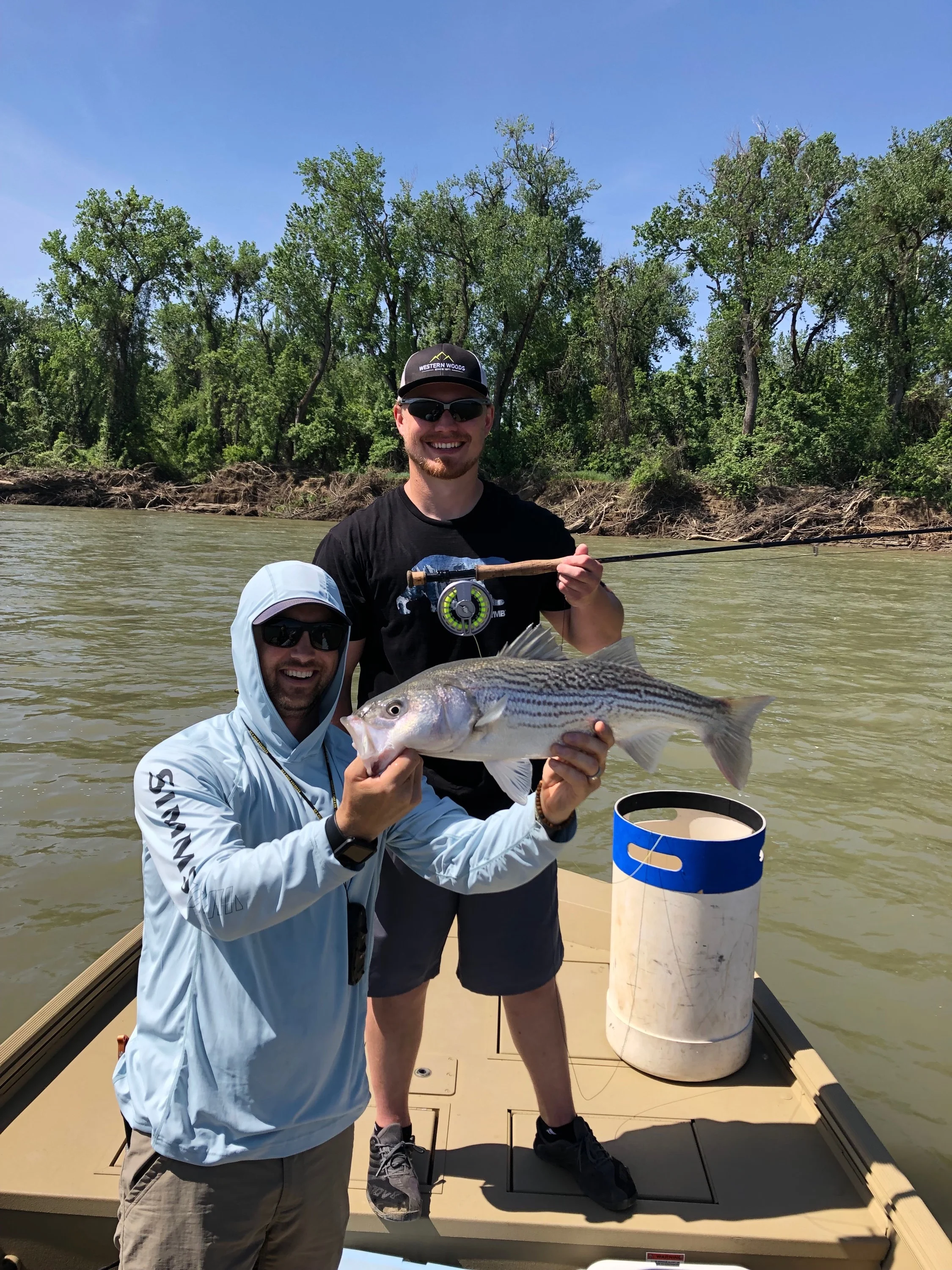 1 May 2019 Reports and Open Dates