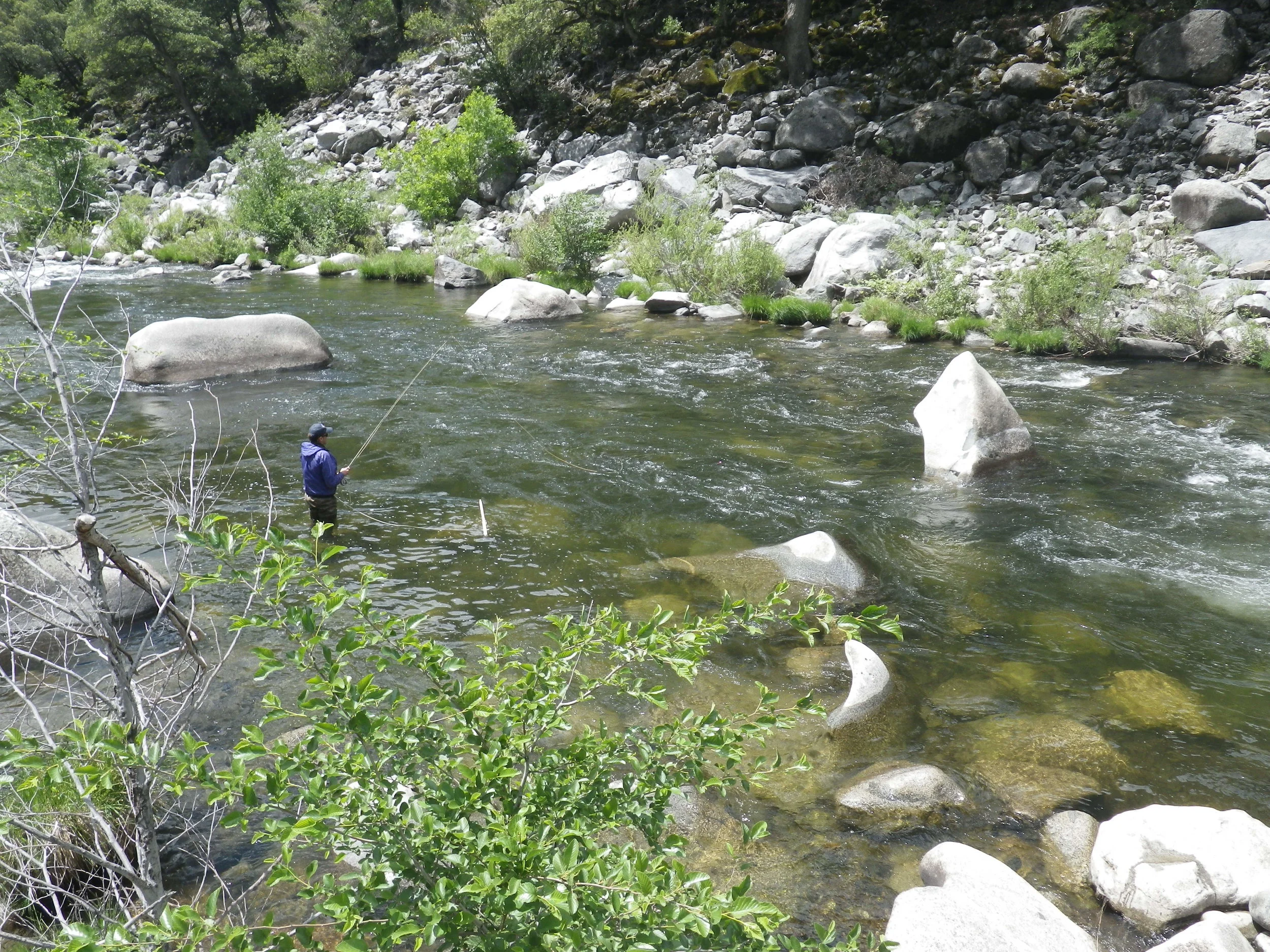 Spring on the NF Feather