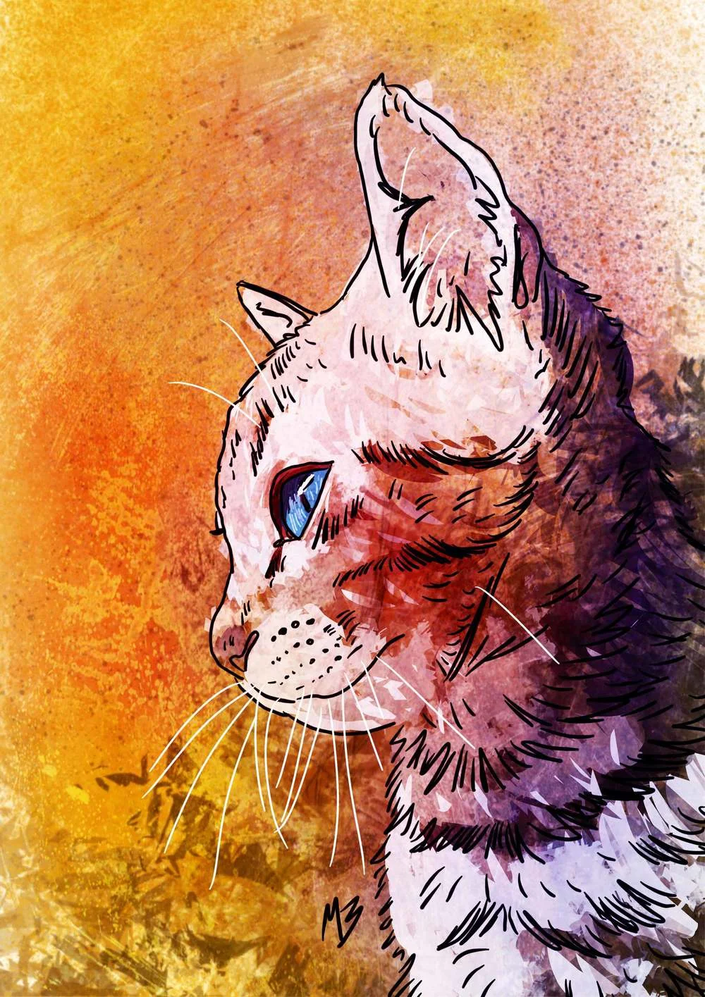 Profile-cat_low.jpg