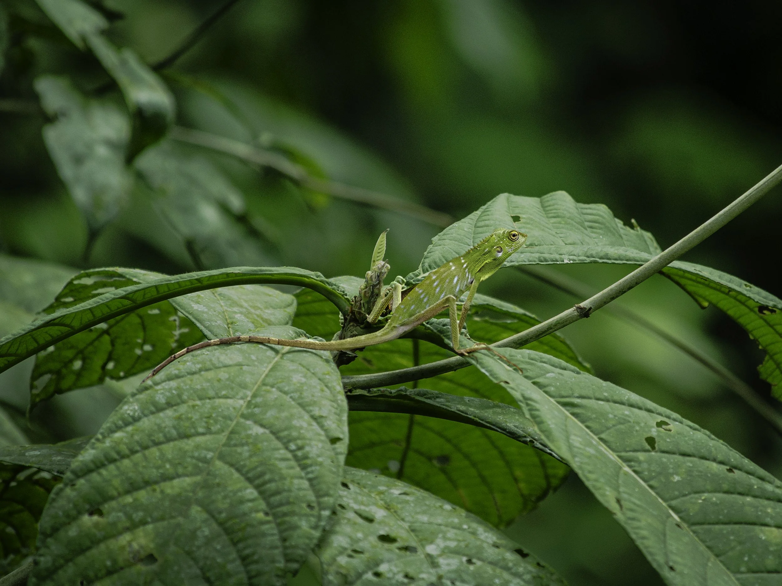 167A2621-Edit.jpg