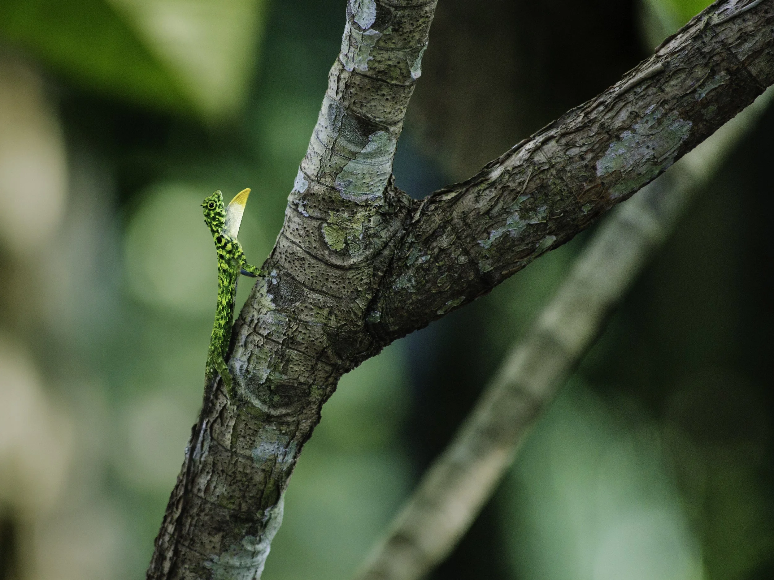 167A2648-Edit.jpg