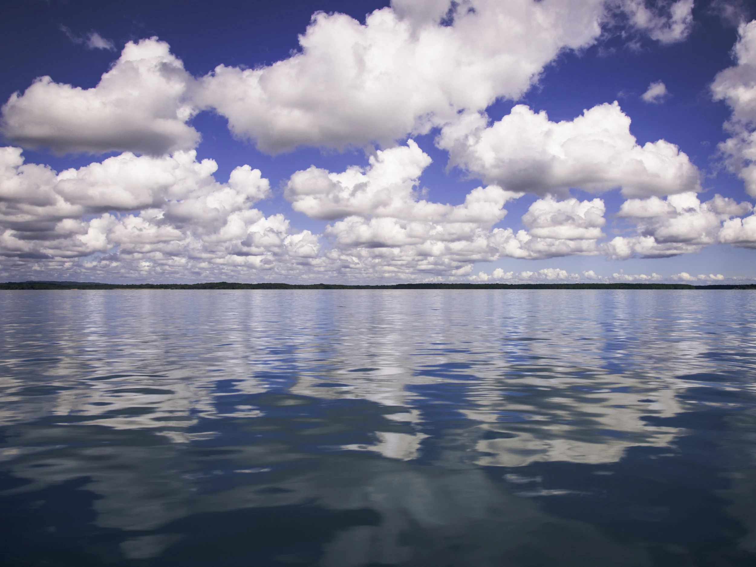 167A2799-2-Edit.jpg