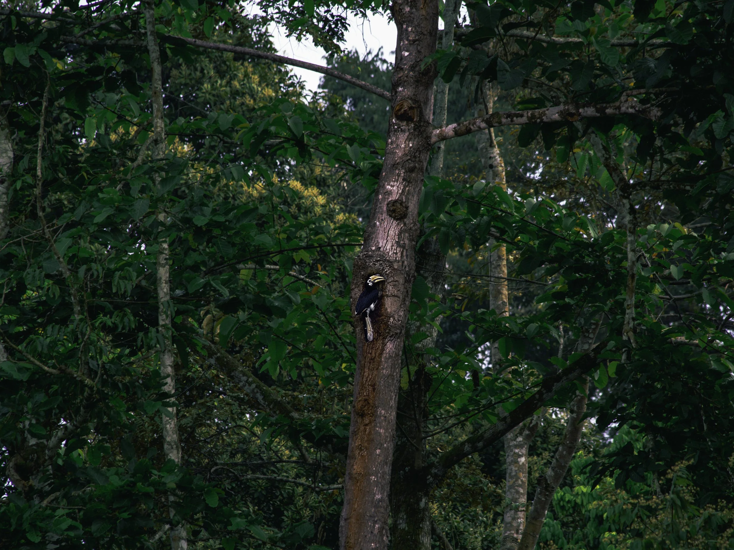167A2337-Edit.jpg