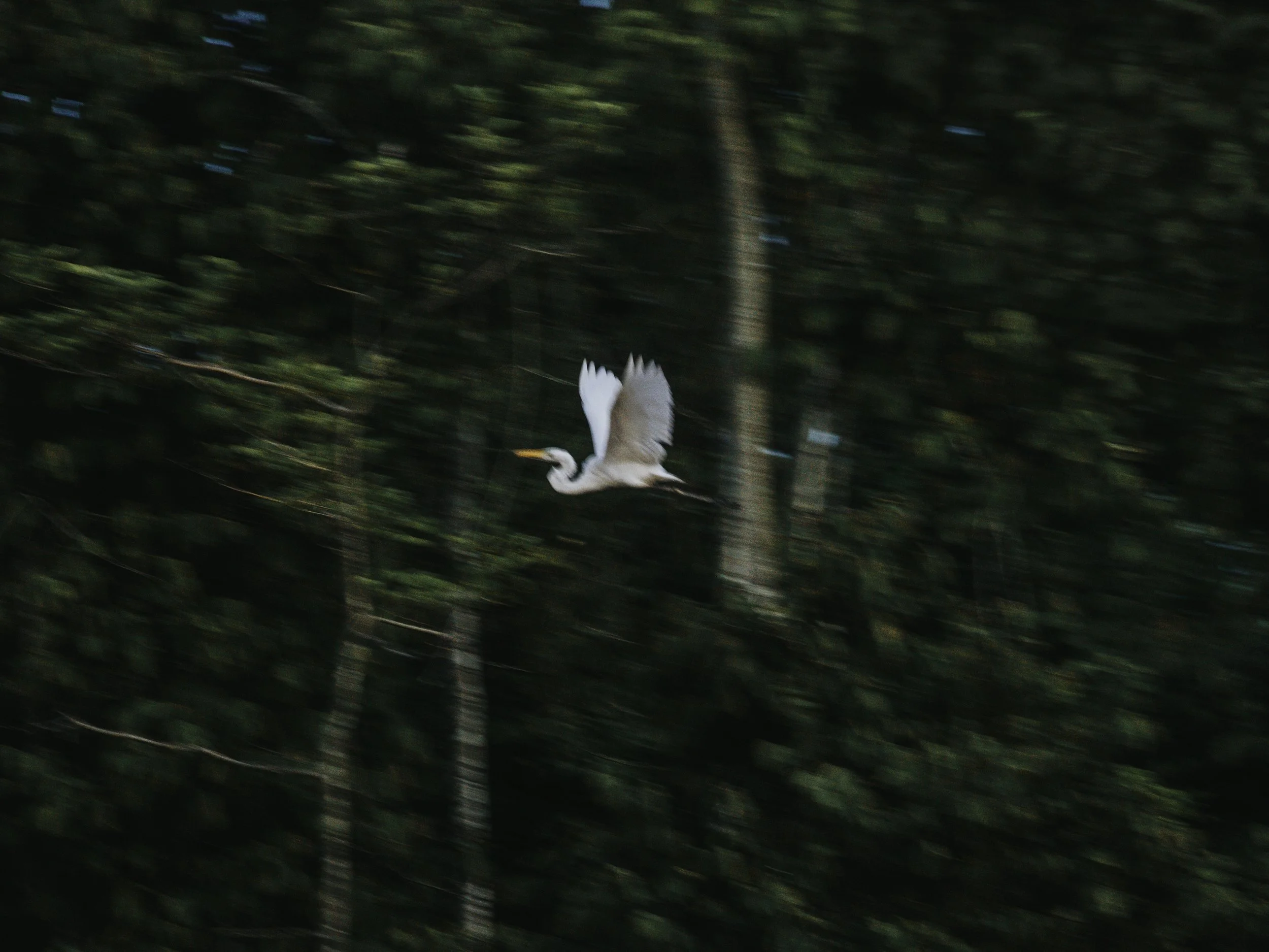 167A2413-Edit.jpg