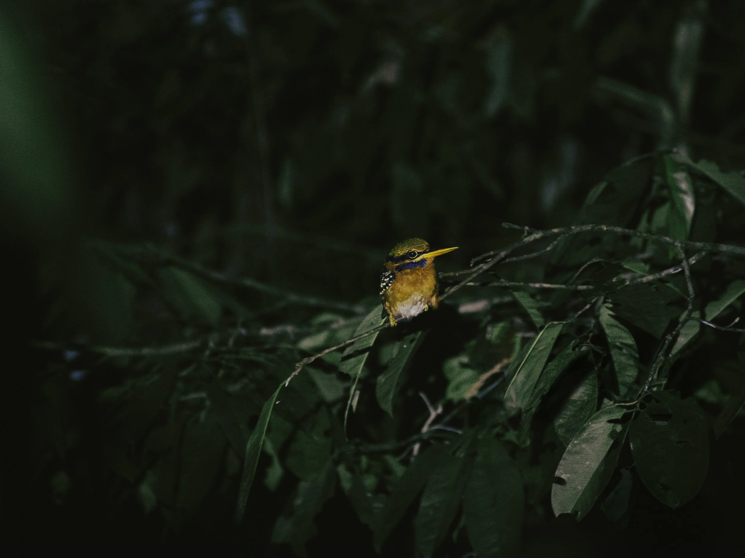 167A2752-Edit.jpg