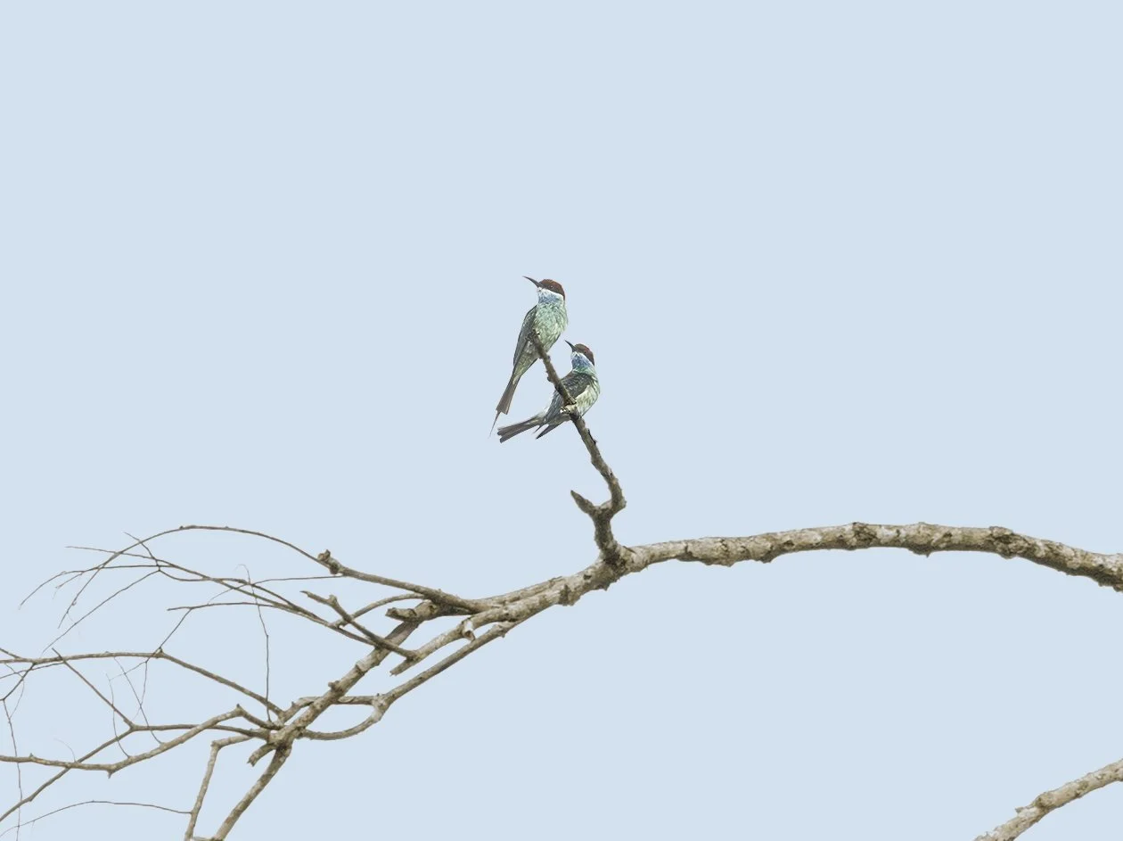 167A2314-Edit.jpg