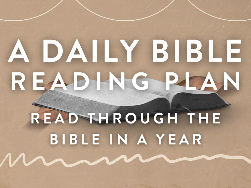 Daily Bible reading
