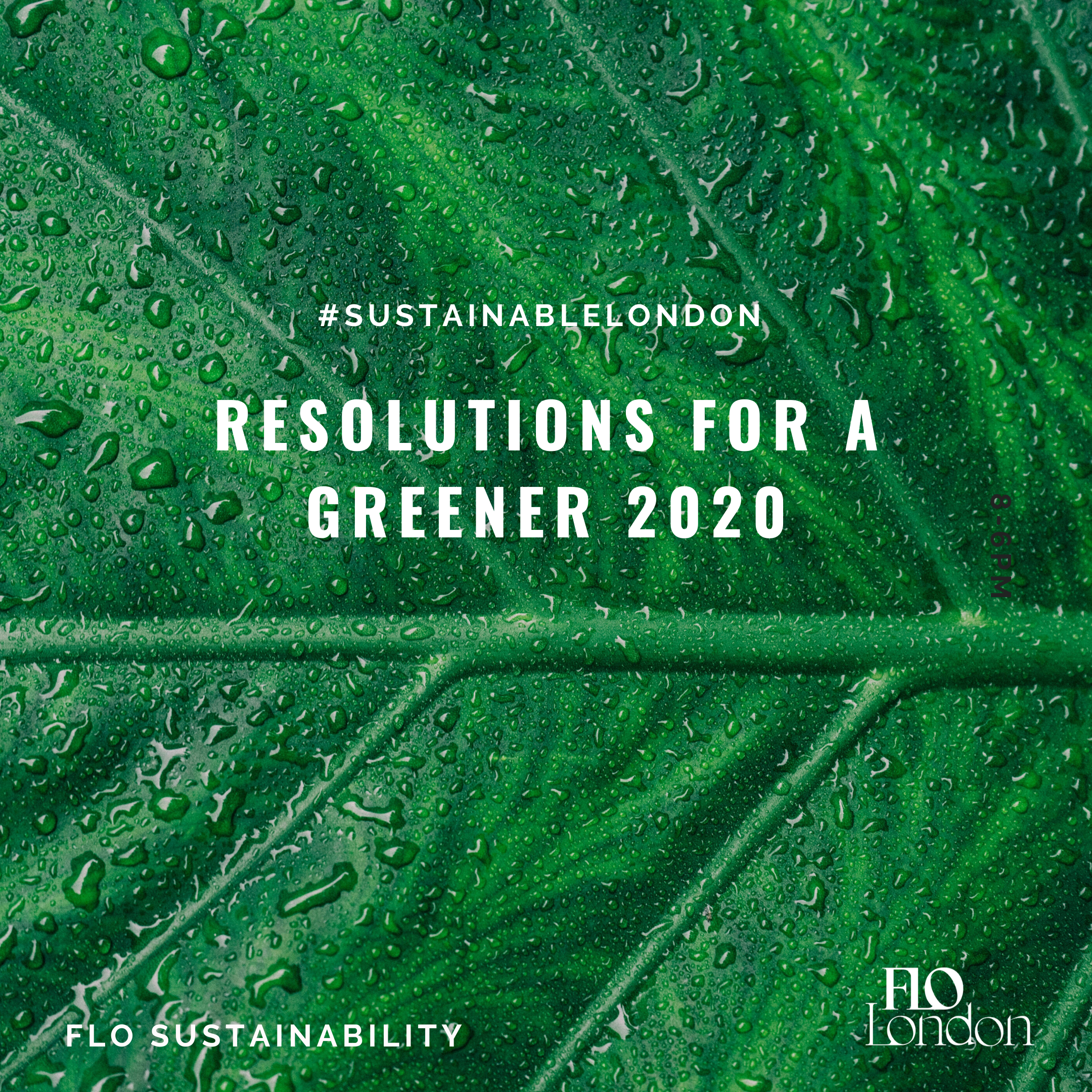 Resolutions For A Greener 2020