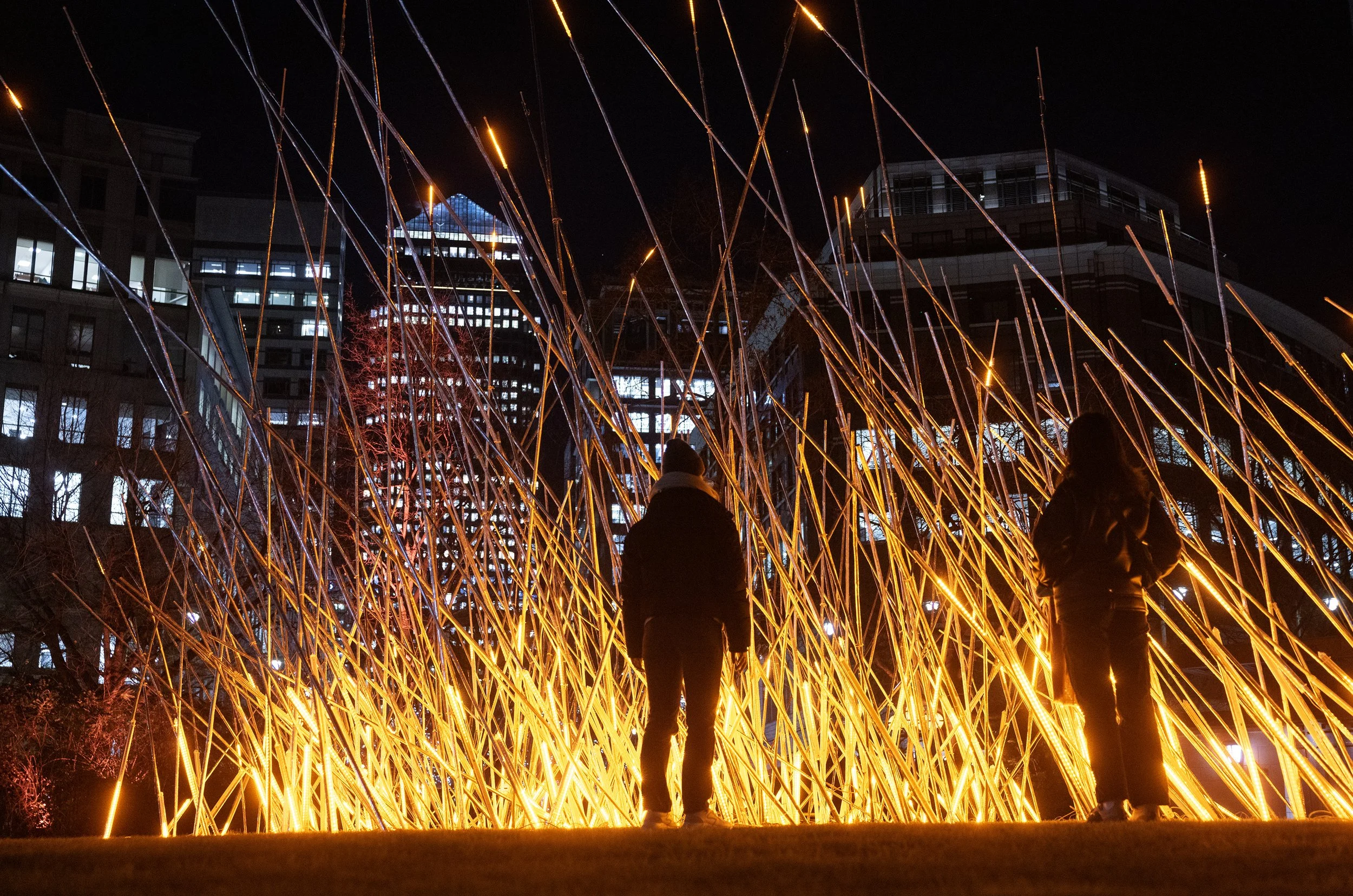 London's Winter Light Festivals 2025