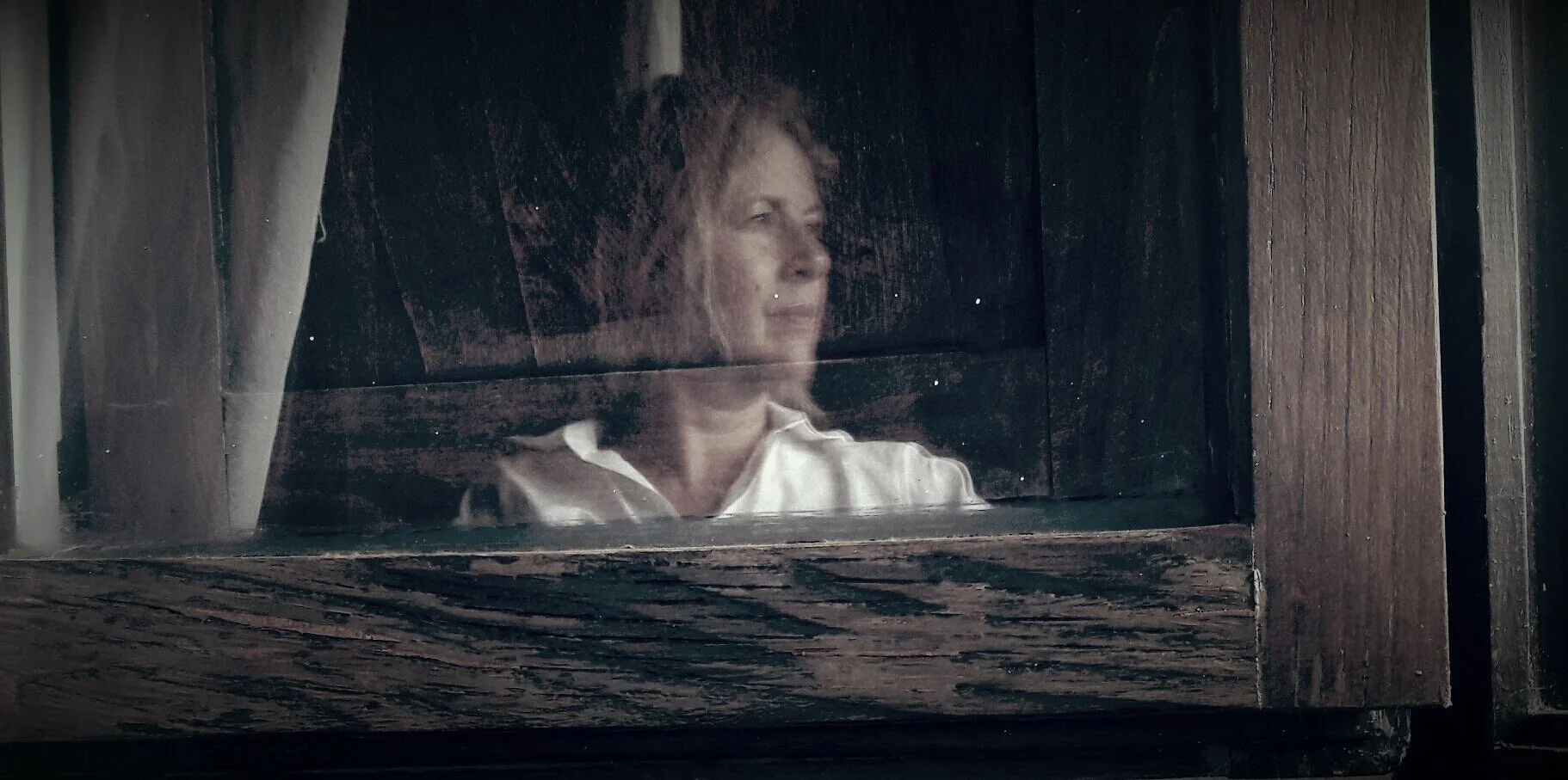In conversation with Ann Tracy