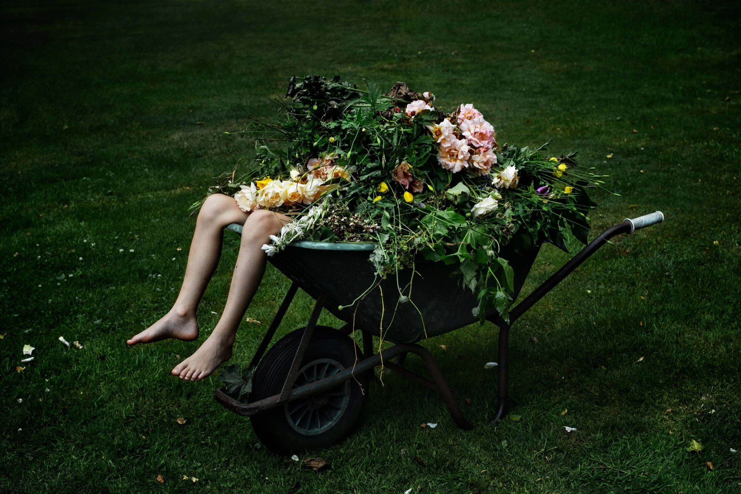 Saatchi Gallery to host ‘Flowers – Flora in Contemporary Art & Culture’ exhibition