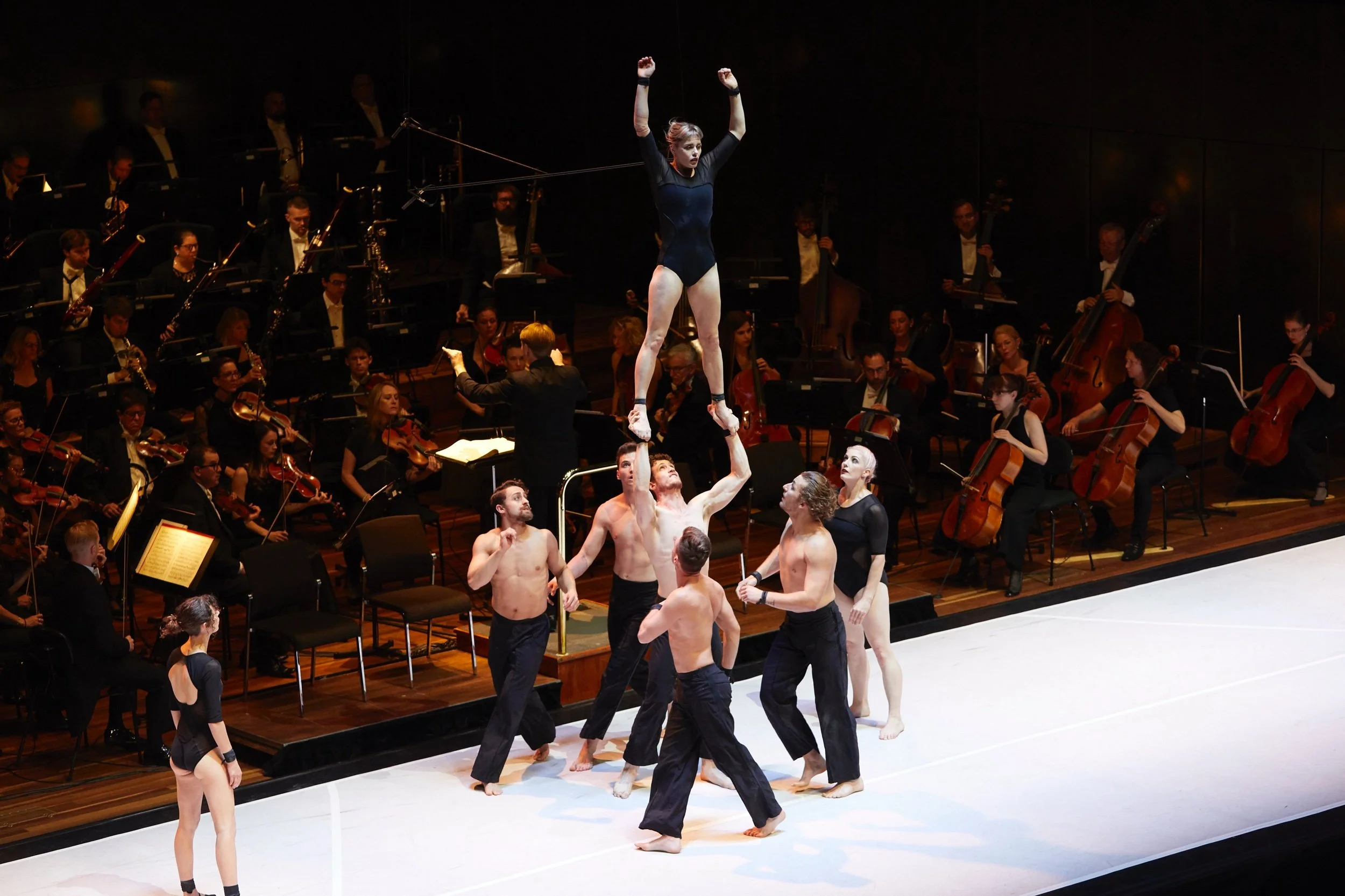 Southbank Centre’s new Festival “Multitudes” to open in April 2025