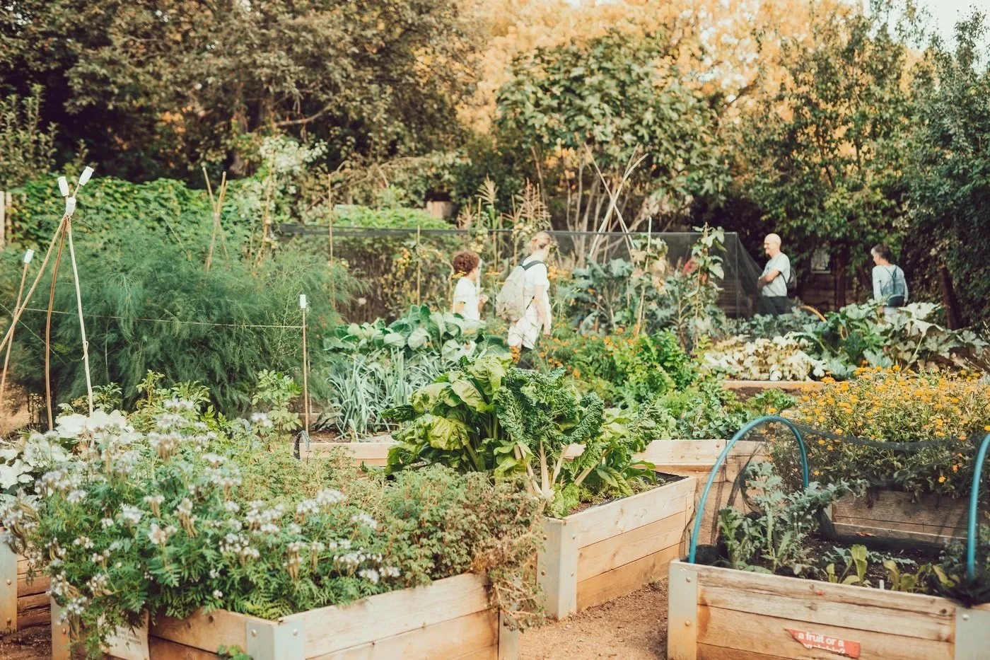 What’s on in London this week: 1 - 7 September 2025