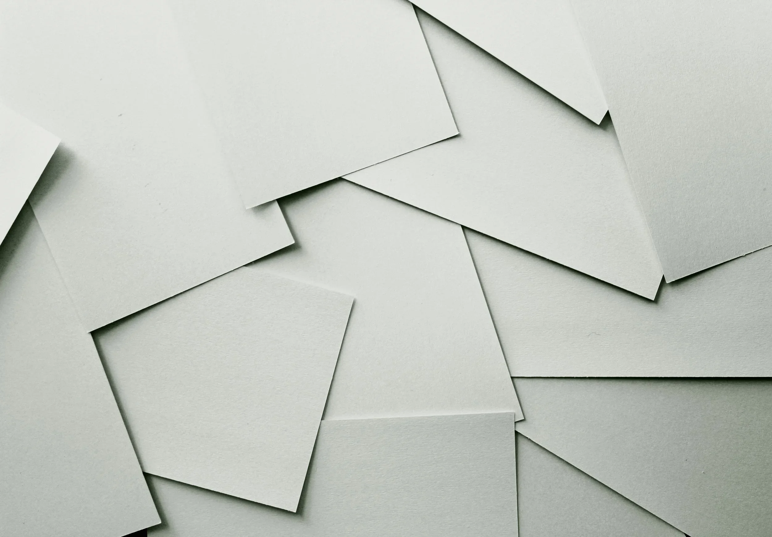 Eco-conscious Londoners driving growth at plantable paper printing company SeedPrint