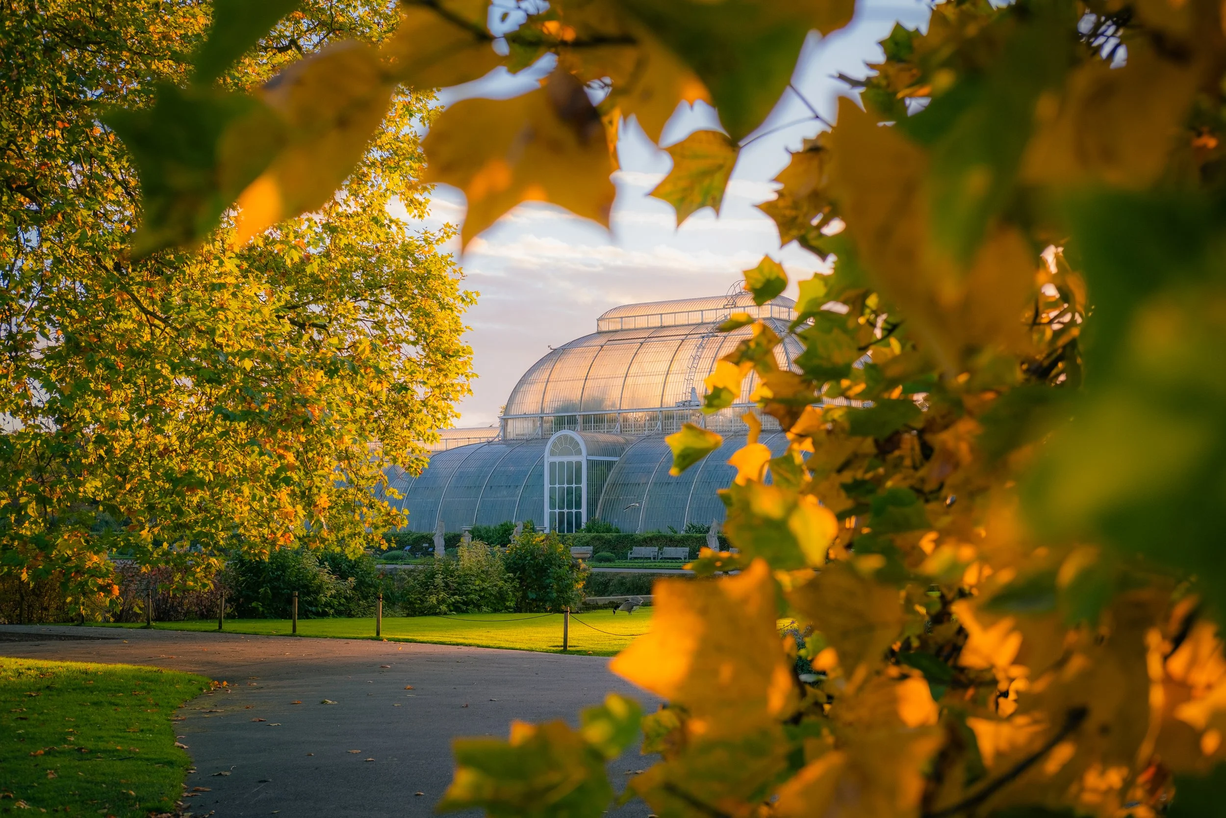 Kew Gardens launches £10 Tuesday tickets this autumn