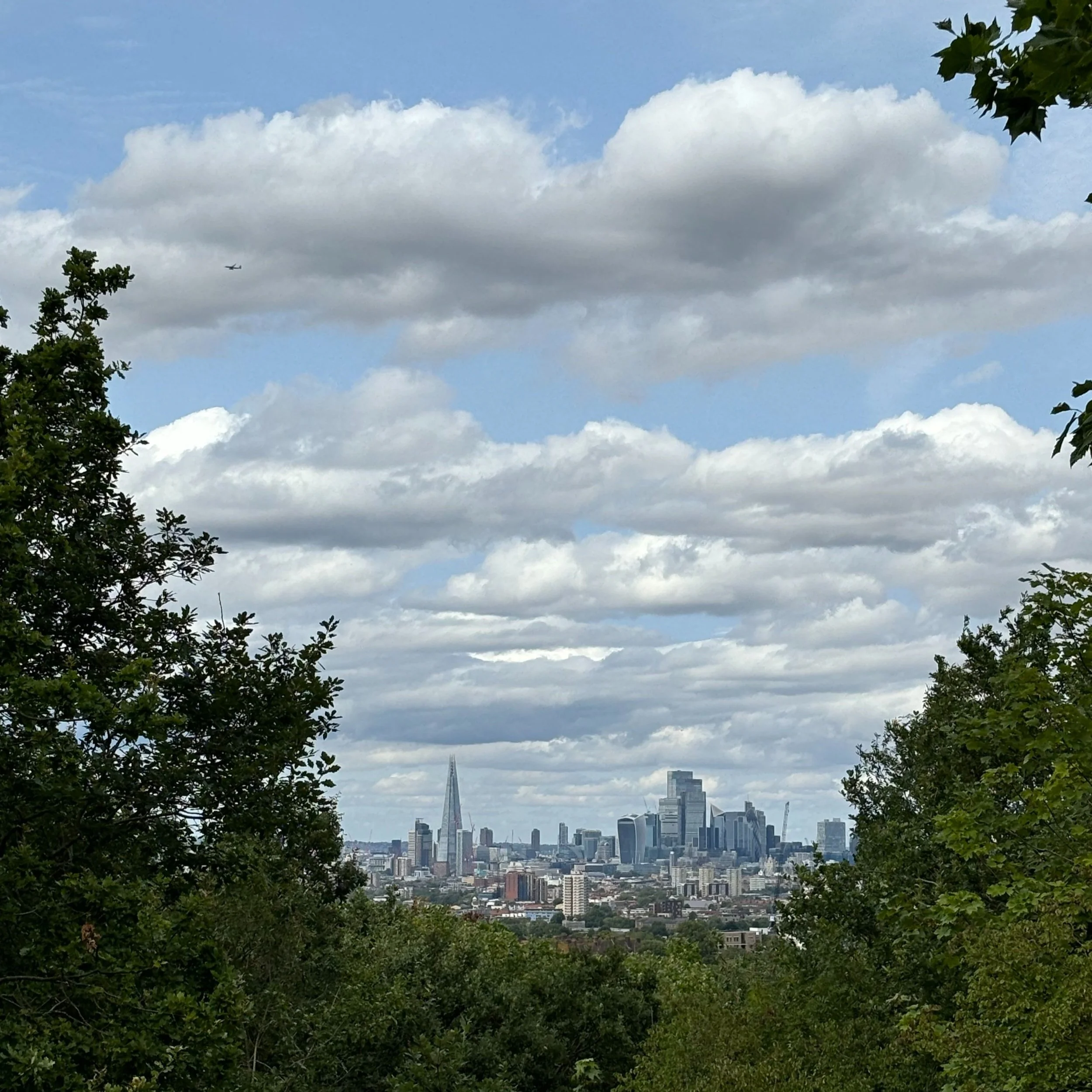 Discovering One Tree Hill Nature Reserve: London’s best-kept secret