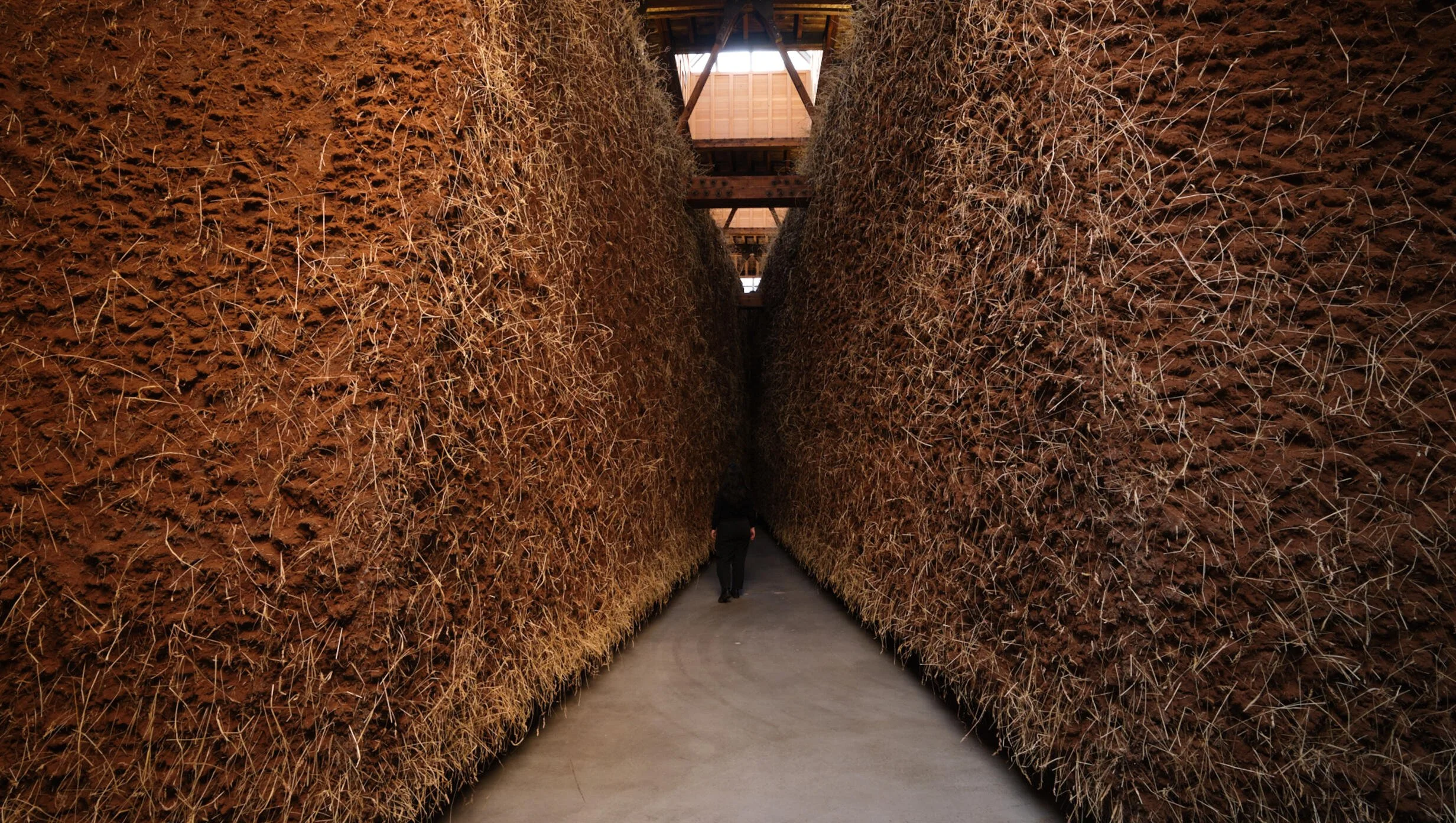 London’s must-see art exhibitions opening in May 2026